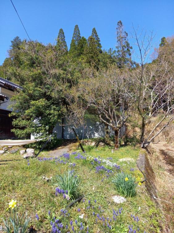 1日1組限定 田舎体験 古民家宿 樹々庵 Juju-An Gero Exterior foto